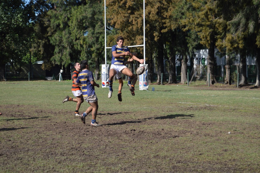 Liceo Olivos 5
