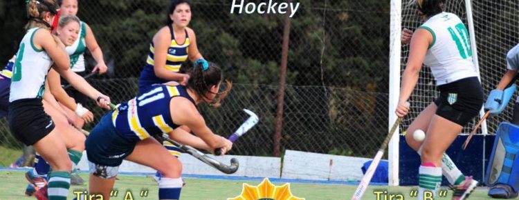 Fixture PLANTEL SUPERIOR Hockey