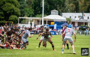 WhatsApp Image 2026-04-13 at 14.33.10 (1)